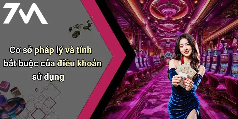 Cơ sở pháp lý và tính bắt buộc của điều khoản sử dụng
