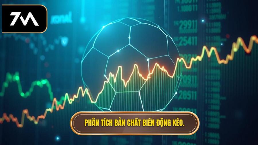 Hiểu về bản chất của biến động kèo bóng đá